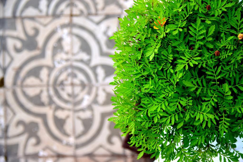 Riad Khmisa Tetouan Exterior photo